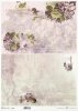 fiołek, kwiaty, fiołki, bukieciki, pastelowe tła*violet, flowers, violets, bouquets, pastel backgrounds*Veilchen, Blumen, Veilchen, Sträuße, pastellfarbene Hintergründe*violeta, flores, violetas, ramos, fondos pastel